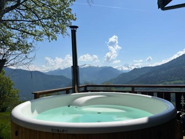 Chalet La Rioule 16 Pers Doucy Экстерьер фото