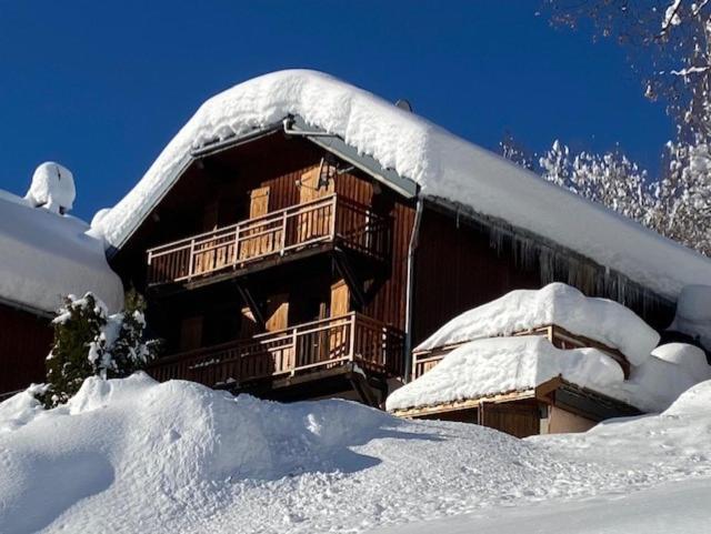 Chalet La Rioule 16 Pers Doucy Экстерьер фото